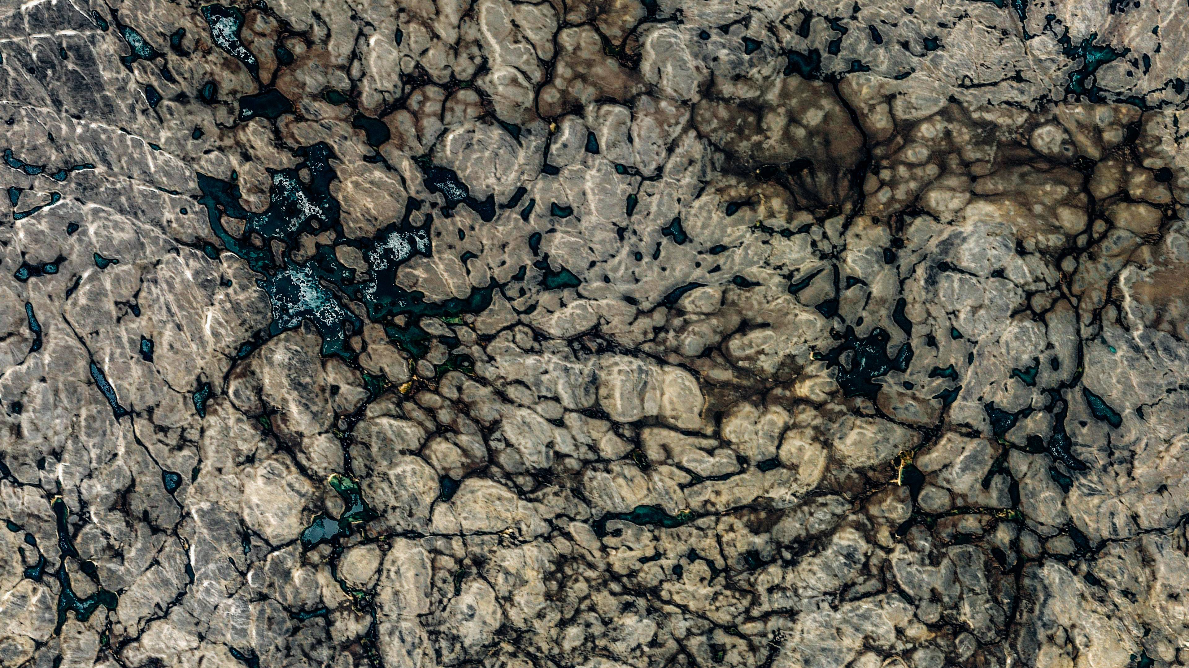 Texture Map