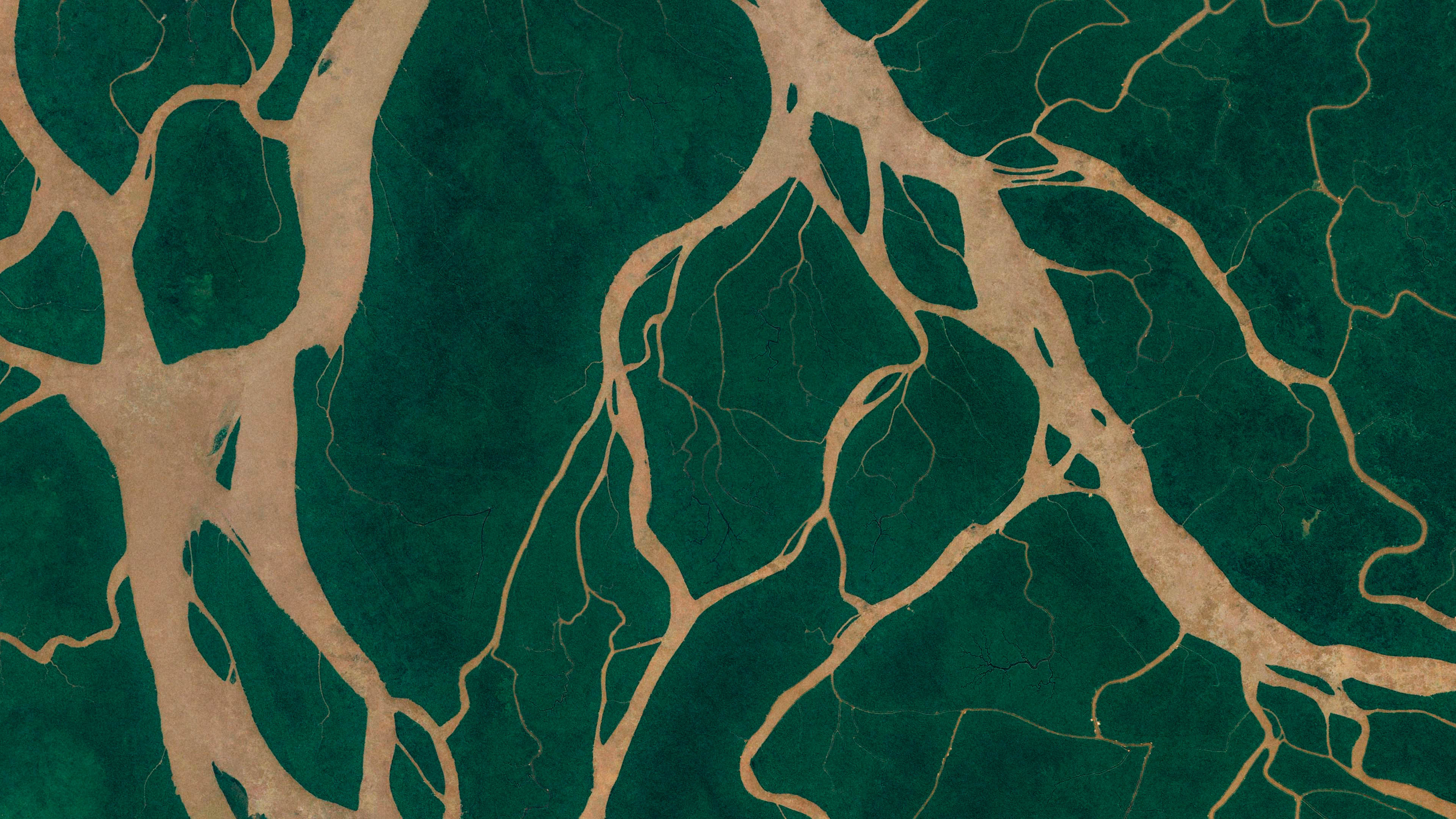 Texture Map