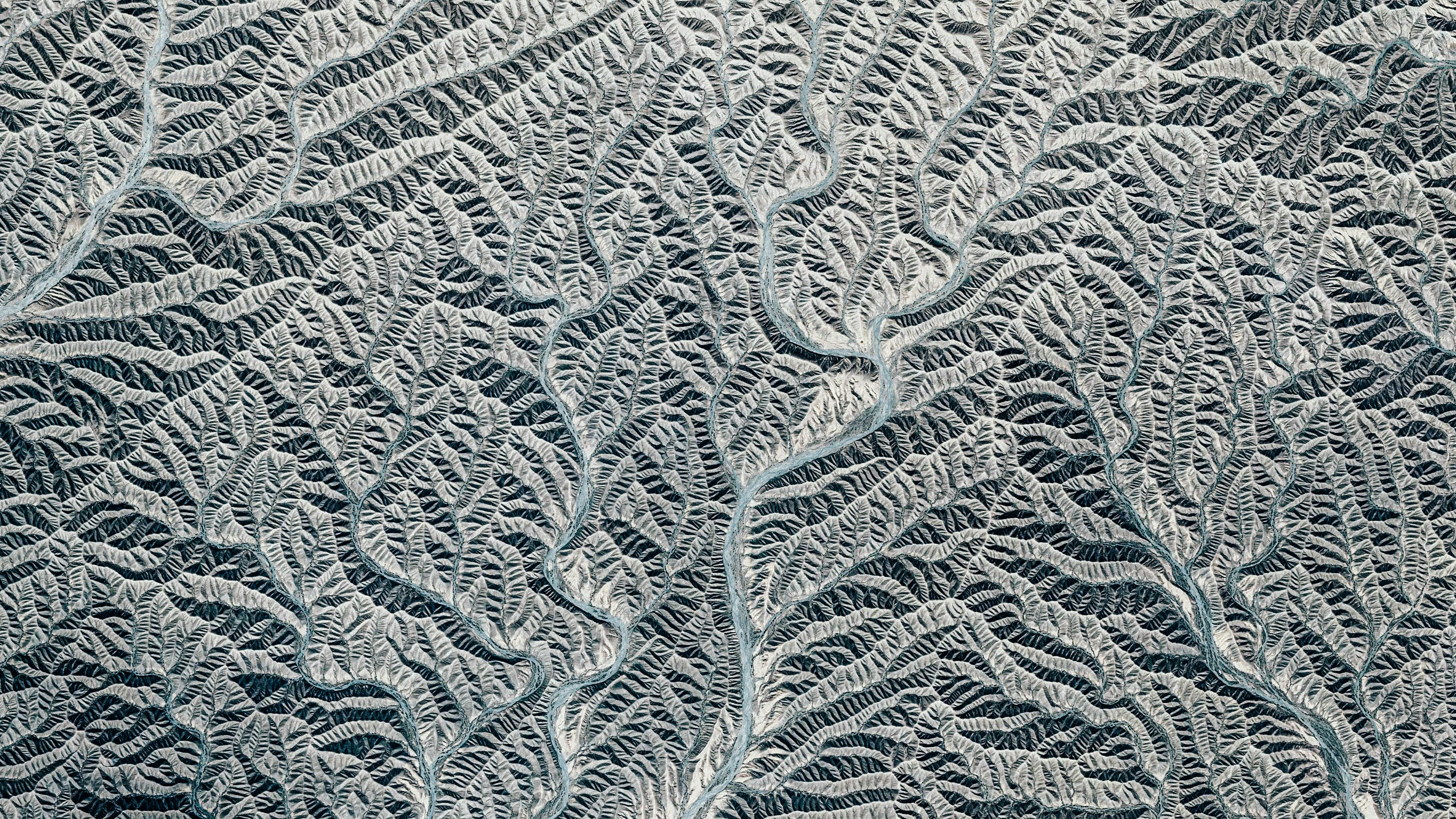 Texture Map