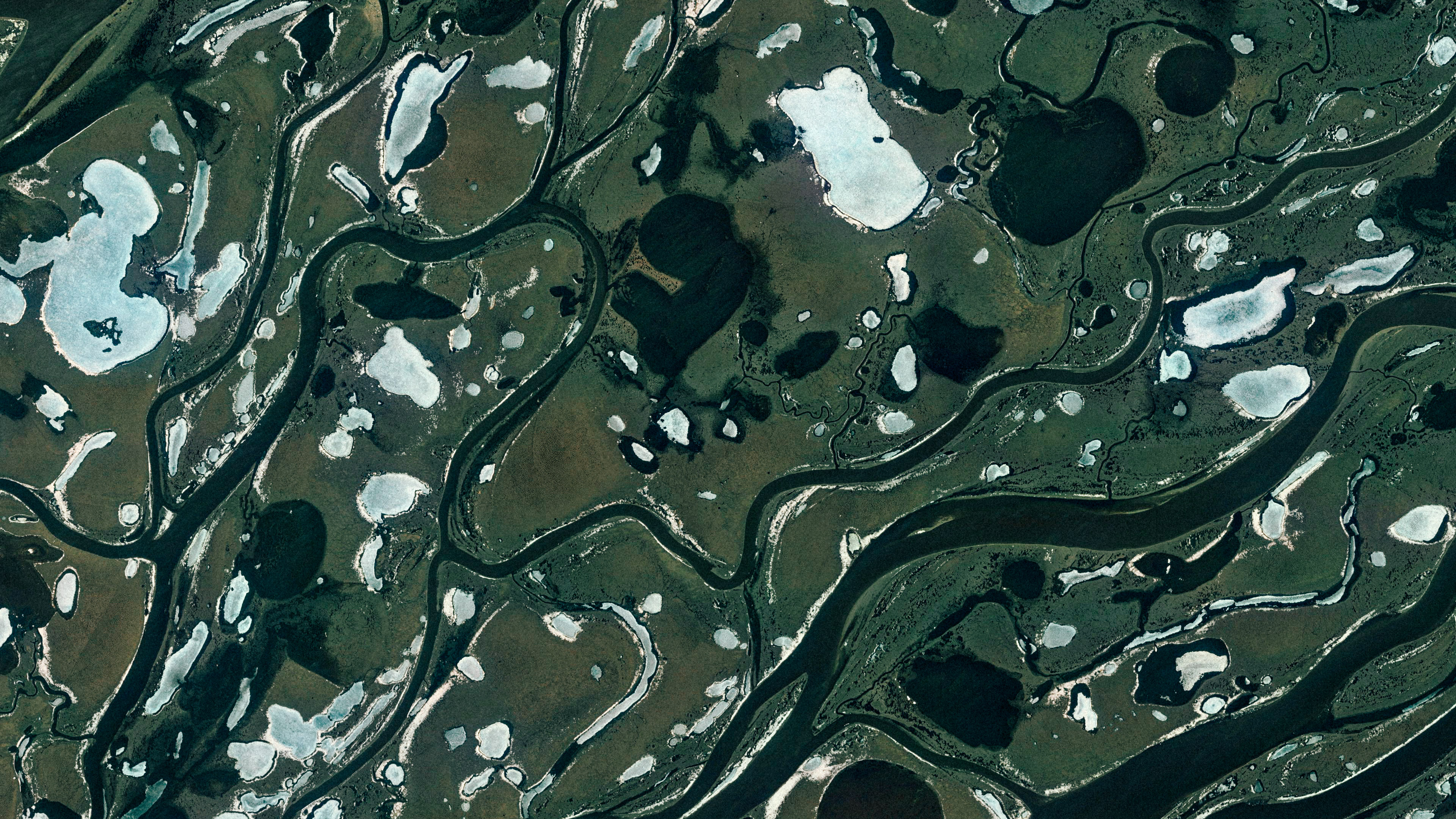 Texture Map