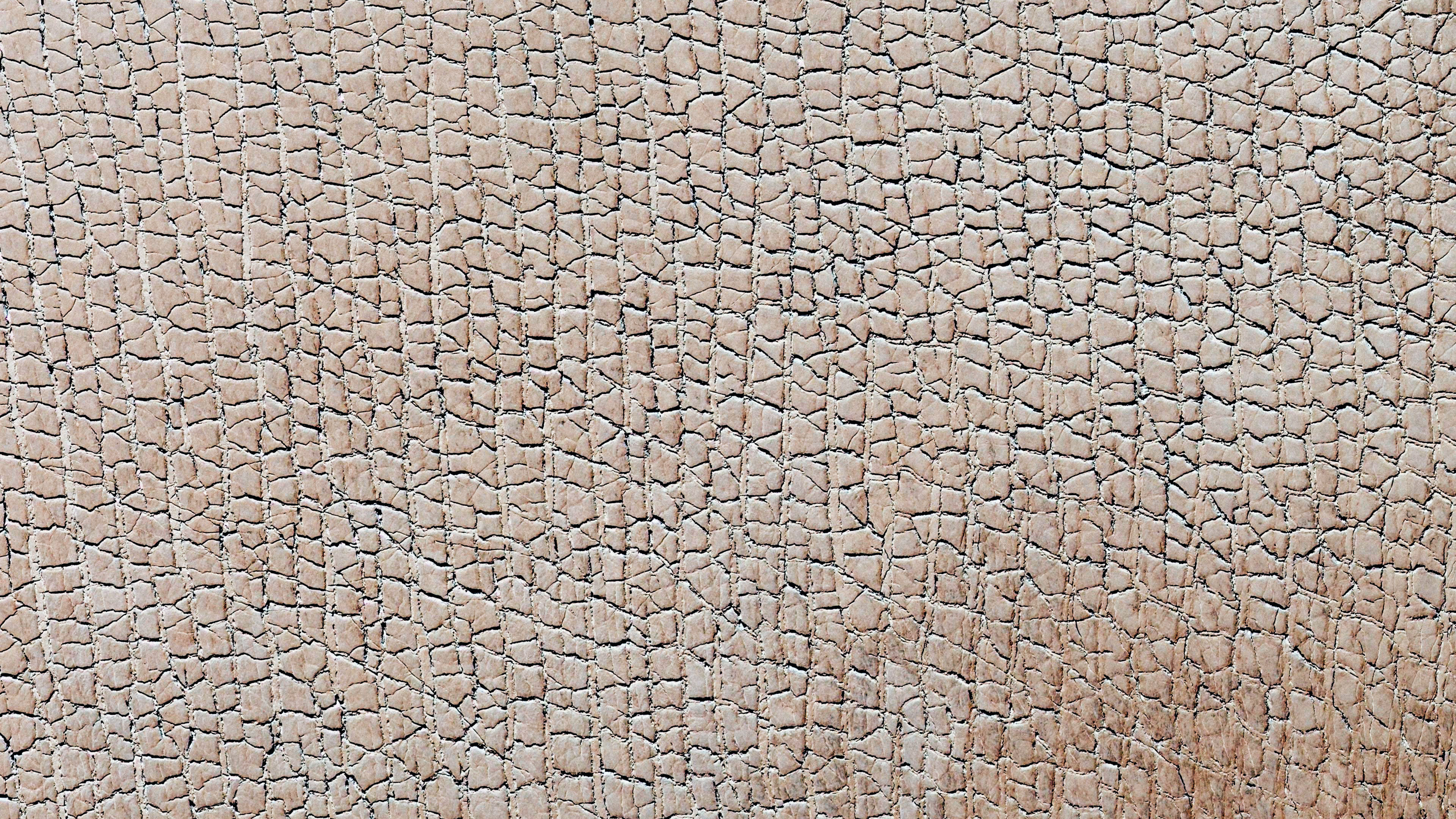 Texture Map